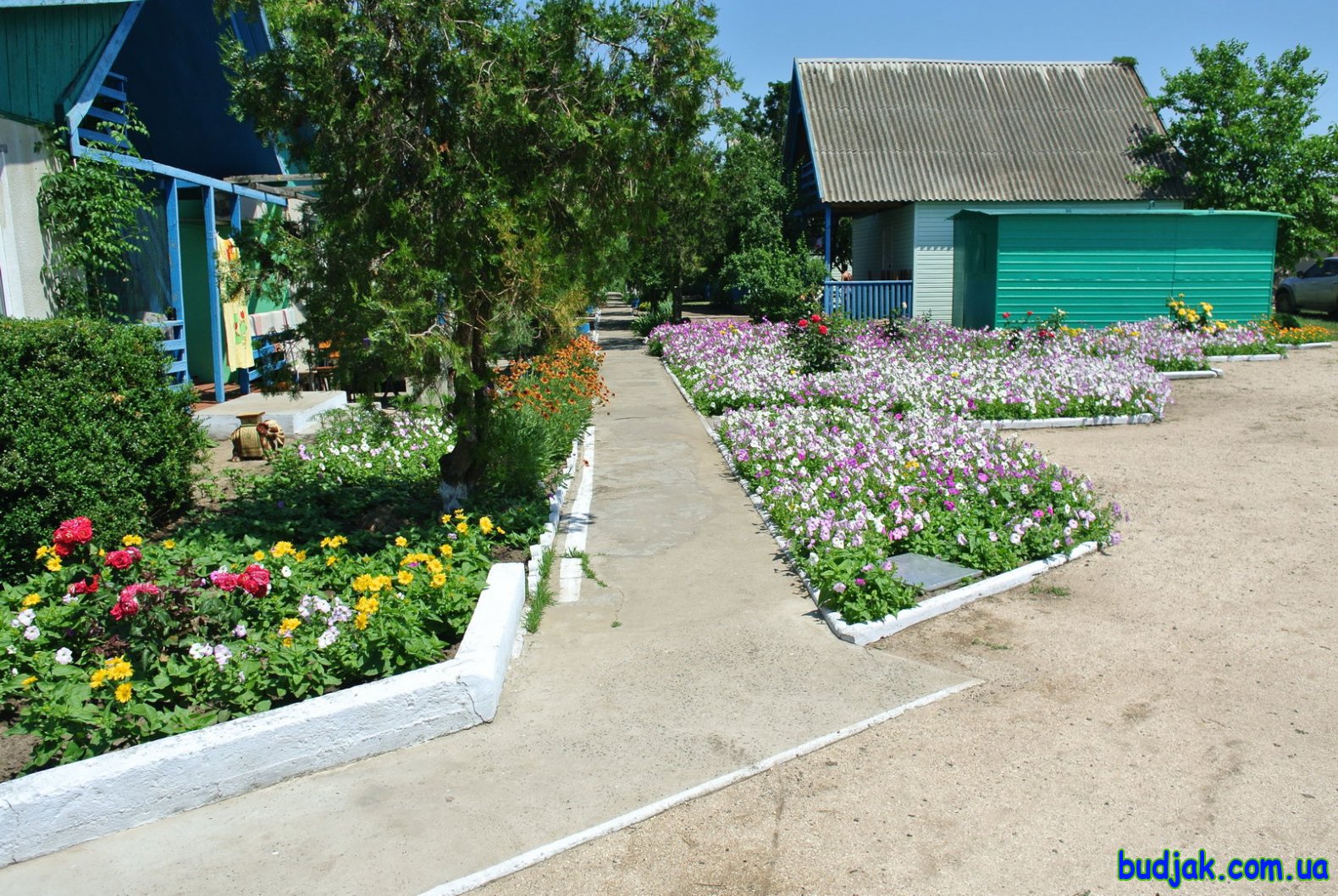 Территория и общие фото. База отдыха «Плай». Курорт Рассейка. Фото № 0513. 2017 год